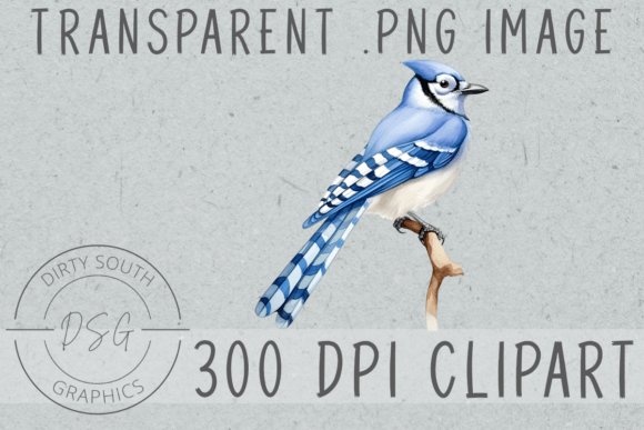 A Real-World Review of the Watercolor Bluejay Bird Graphic