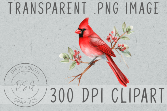 A Watercolor Cardinal Bird Graphic for Product Creation