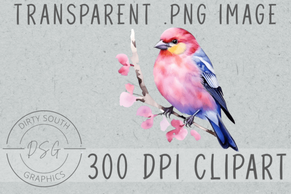A Watercolor Finch Illustration for Commercial Graphics and Products