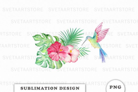 A Watercolor Hummingbird PNG for Editorial Crafts & Graphics