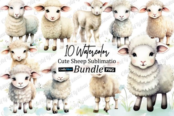 Cute Sheep Watercolor Graphics: A Crafter's Review