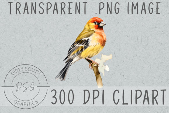 The Subtle Charm of a Watercolor Finch Embroidery Design