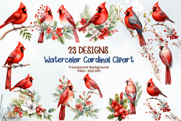 Watercolor Cardinal Graphics: A Seller's Review