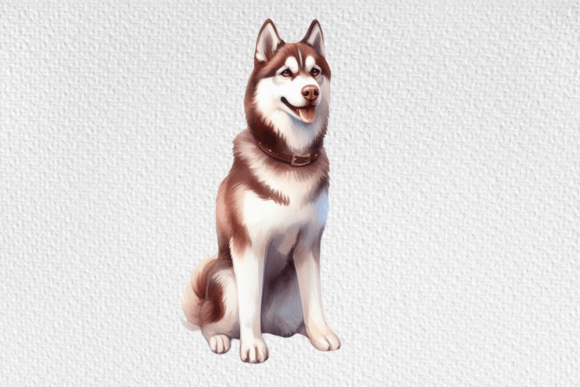 Watercolor Husky Illustration for Commercial Graphics
